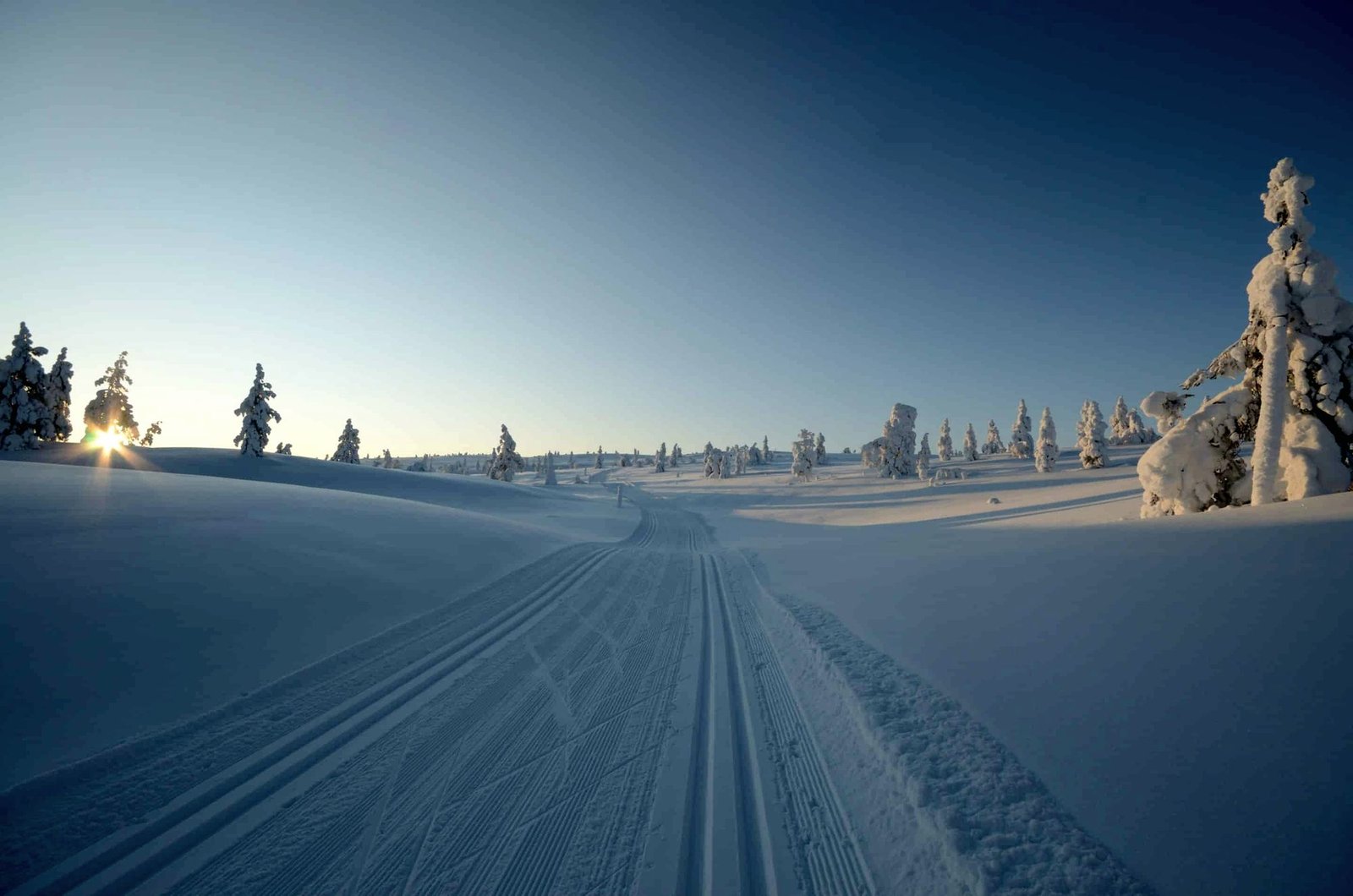 Aurinkoinen tunturimaisema ja latu Lapissa